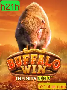 Descubra as Emoções e Regras do Jogo BuffaloWin